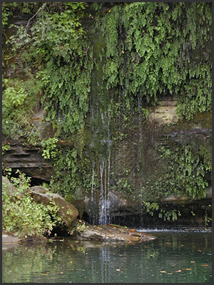 dripping springs acres texas county natural area description