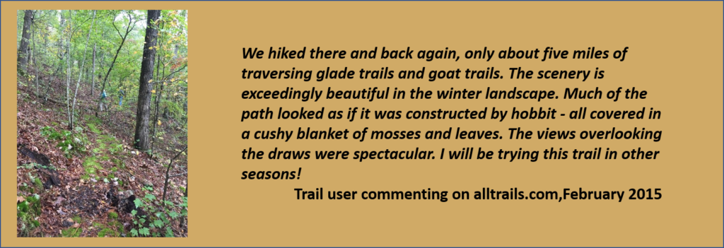 User comment about trail being exceedingly beautiful in winter