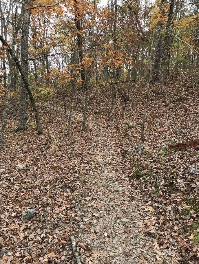 trail through Clifty Creek Natural Area