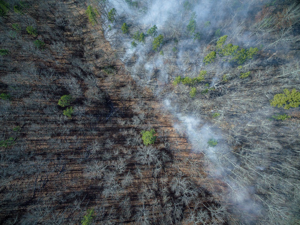 aerial view of prescribed fire in Pioneer Forest