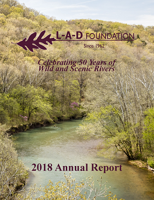 cover of 2018 annual report