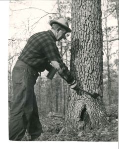 man marking tree with axe