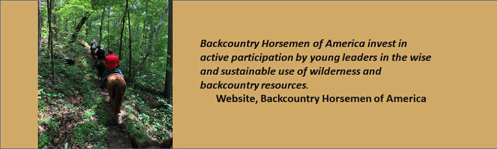 quote from Backcountry Horsemen