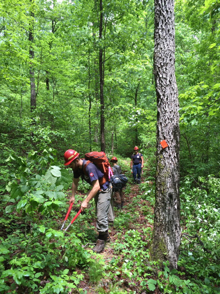 volunteers constructing trail during summer