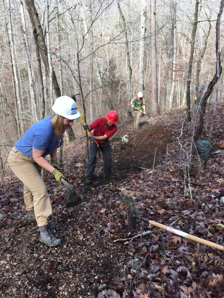 volunteers construction trail leaves off trees