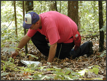 man on hands and knees on forest floor