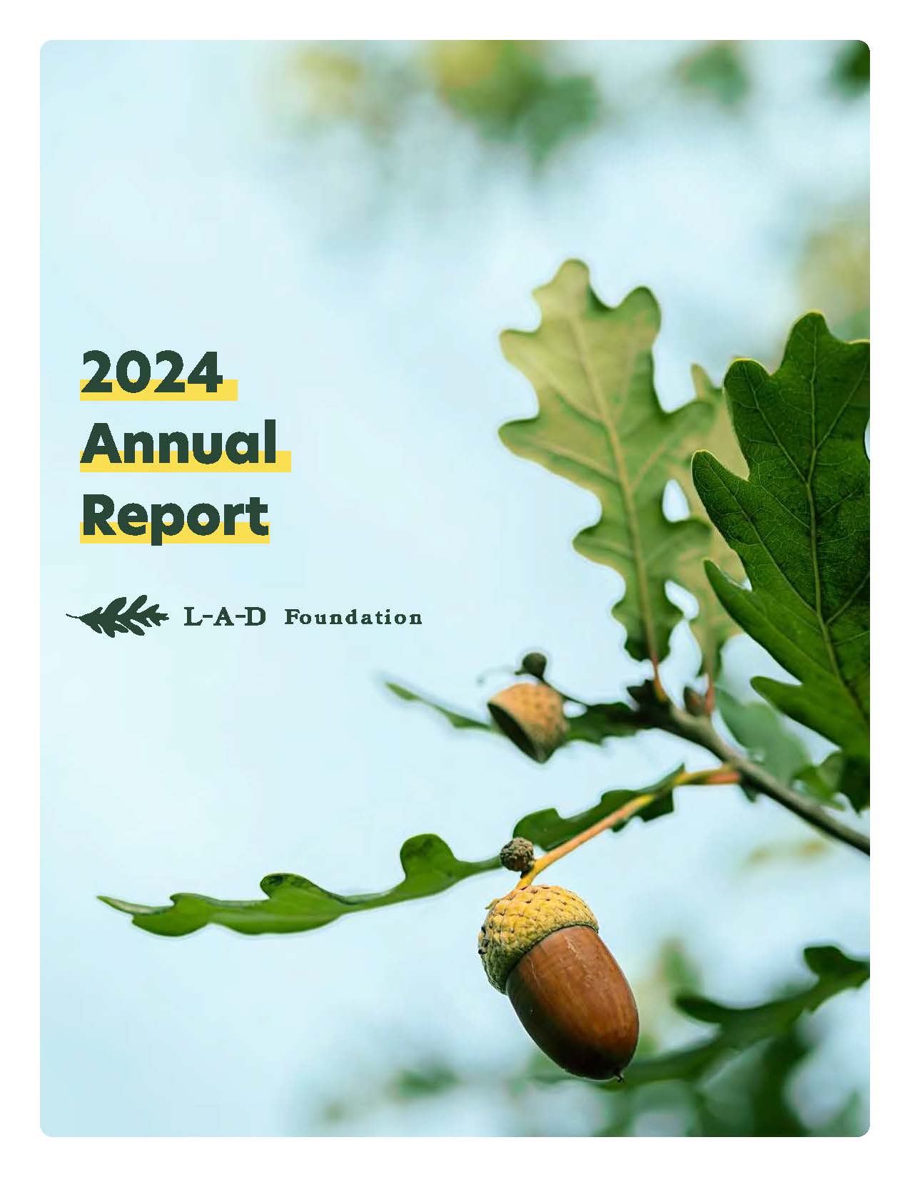 2024 Annual Report Cover